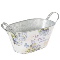 Product Oval metal flower bowl with handles, for hydrangeas, 32×15×15cm