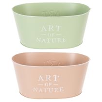 Product Oval zinc flower bowl, 27 x 18 cm, H 12.5 cm, various colors