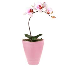 Product Flowerpot Plastic Vase Orchid Pot Pink H16.5cm 4pcs