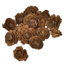 Product Cedar cones cut as rose Cedarrose 4-6cm natural 50 pcs