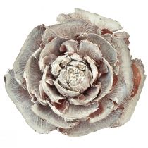 Product Cedar cones cut like rose Cedarrose 4-6cm white/natural 50 pcs
