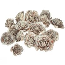 Product Cedar cones cut like rose Cedarrose 4-6cm white/natural 50 pcs