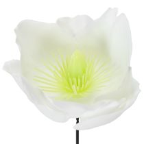 Product Christmas rose on wire, white, 50 pieces