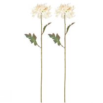 Product Chrysanthemums Artificial Decorative Flowers Cream L72cm 2pcs