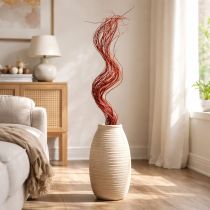 Product Curly Willow Dried Decorative Branch for Creative Floristry and Home Accessories 80cm 70g