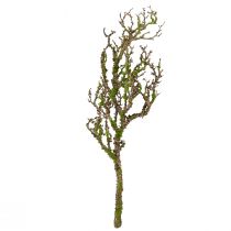 Product Decorative branch with moss artificial autumn decoration grey green L78cm