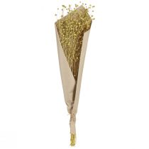 Product Dried Flax Stems in Olive Green 50g