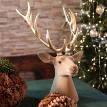 Product Decorative Deer Head Sculpture with Golden Antlers, 52cm, Interior Decoration