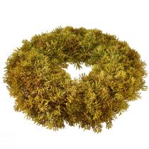Product Decorative wreath moss artificial with hanger brown green Ø30cm