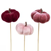 Product Decorative Pumpkin made of fabric Pumpkin on stick Burgundy Pink Ø7cm 9 pcs
