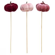 Product Decorative Pumpkin made of fabric Pumpkin on stick Burgundy Pink Ø7cm 9 pcs