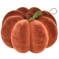 Product Flocked pumpkin decoration – Autumnal table decoration in strong red-brown 20cm 2pcs