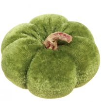 Product Decorative pumpkins made of fabric velvety green Ø7cm H4.5cm 9 pcs