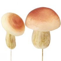 Product Decorative Mushrooms on Stick Small and Large Brown H10/11.5cm 8 pcs