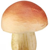 Product Decorative Mushrooms on Stick Small and Large Brown H10/11.5cm 8 pcs