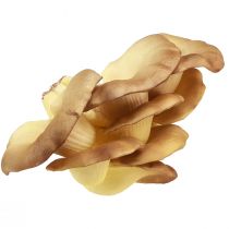 Decorative Mushrooms Light Brown Oyster Mushrooms Artificial 19×12×9cm