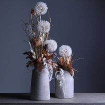 Product Decorative dandelion in white – delicate dried flowers for stylish arrangements Ø11cm 6 pcs
