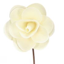 Product Decorative Roses Cream Artificial Roses made of wood Ø7cm 12 pcs