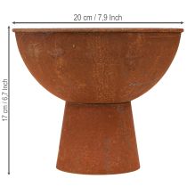 Product Decorative bowl with foot trophy bowl rust metal Ø20.5cm 2pcs