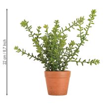 Product Decorative Thyme in Pot Artificial Herbs Kitchen Decoration 25cm