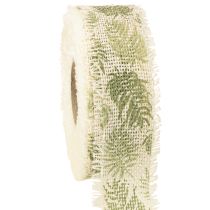 Product Decorative ribbon rainforest cotton ribbon green 30mm 15m