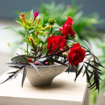 Product Decorative bowl with base, round plant bowl, grey, Ø19cm, H8cm