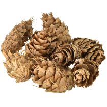 Product Douglas cones 1.3kg