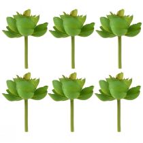 Product Echeveria Artificial Succulents Green Ø7cm 6 pcs