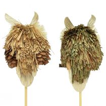 Product Owl decoration flower plug autumn decoration natural Ø4cm H8cm 4pcs