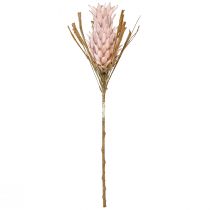 Product Exotic artificial flower pink large pineapple blossom 74cm