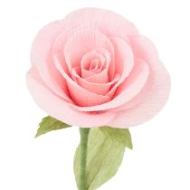 Product Florist crepe paper florist crepe pink 50×250cm 5pcs