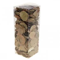Product Dried Pennywort Leaves for Natural Decoration and Crafting – 200g