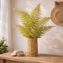 Product Dried and preserved fern. Perfect for natural home decoration. 80cm