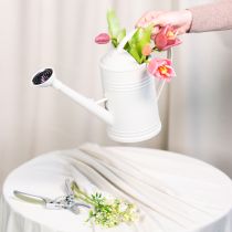 Product Watering can with removable rose head. Ideal for houseplants and balconies. 32cm