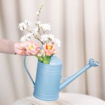 Product Watering can ideal for precise watering of balcony and indoor plants 32cm