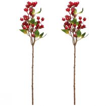 Product Rosehip decoration branch with red fruits L60cm 2 pcs