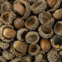 Product Natural wreath, autumn decoration, acorns, door wreath, wall wreath, DIY, Ø30cm