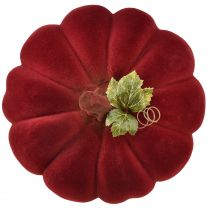 Product Autumn decoration pumpkin flocked red burgundy – pumpkin decoration for a unique autumn ambience 32cm