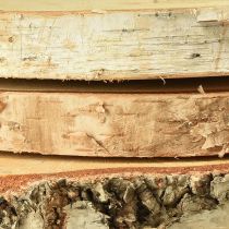 Product Wooden discs birch wood with bark tree discs Ø20-22cm 3 pcs