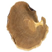 Product Kalix Mushroom Natural Varnished 100 pcs