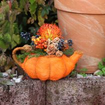 Product Jug for planting pumpkin decoration orange/yellow-green Ø13cm