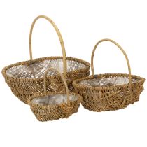 Product Potato basket 43/33/23cm with foil, natural, set of 3.