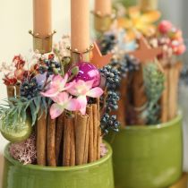 Product Candle holder crown golden, stick candle holder metal 4 pieces