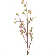 Cherry Blossom Branch Pink 95cm