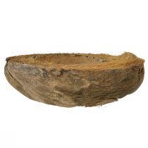 Product Coconut planter, natural, 20cm, 5 pieces