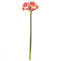 Product Artificial Amaryllis Pink and Cream – Large Stem Flower 76cm
