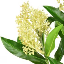 Product Artificial Flowers Cream Skimmia japonica Skimmie 45cm 2pcs