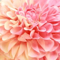 Product Artificial Dahlias in Peach Pink Ø10cm L80cm 2pcs