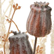 Product Poppy capsules decoration dried flowers artificial fern cream 63cm