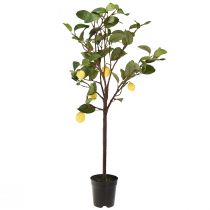 Product Attractive artificial lemon tree in a pot, yellow decorative artificial plant, 90cm, easy to care for, suitable for home and business spaces